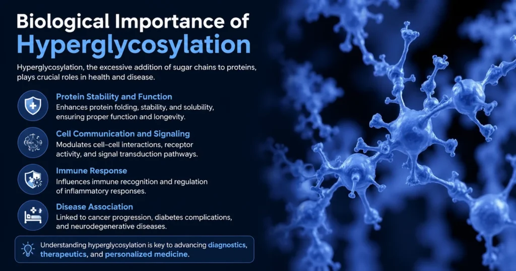 Biological impacts of hyperglycosylation