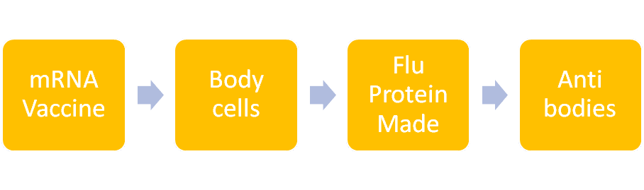 How it works